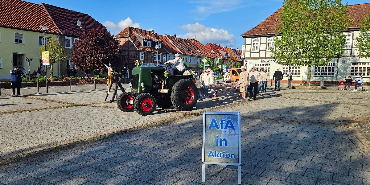 Maibaumaufstellen Arendsee - Der Baum kommt